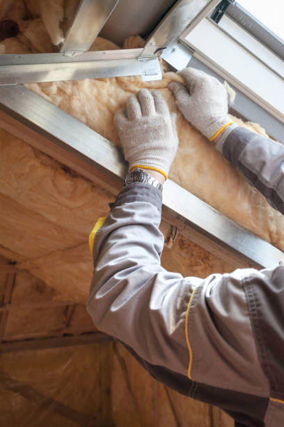 Best Eco-Friendly or Green Insulation Solutions  in Irmo, SC