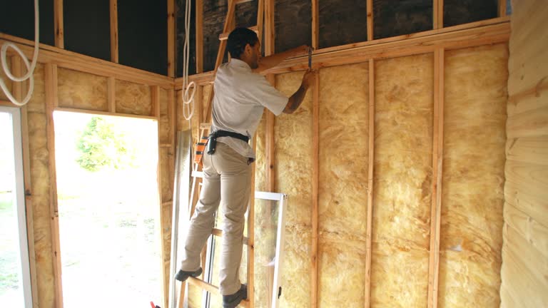 Best Batt and Roll Insulation  in Irmo, SC