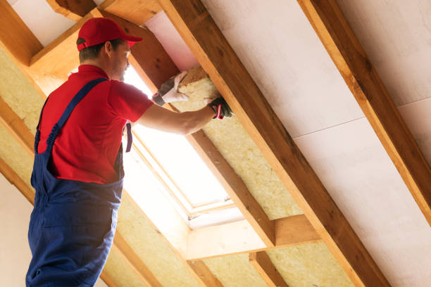  Irmo, SC Insulation Installation & Removal Pros